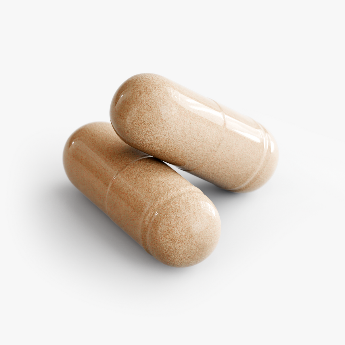 Mushroom Complex 10X — Inmunidad, Mente y Energía